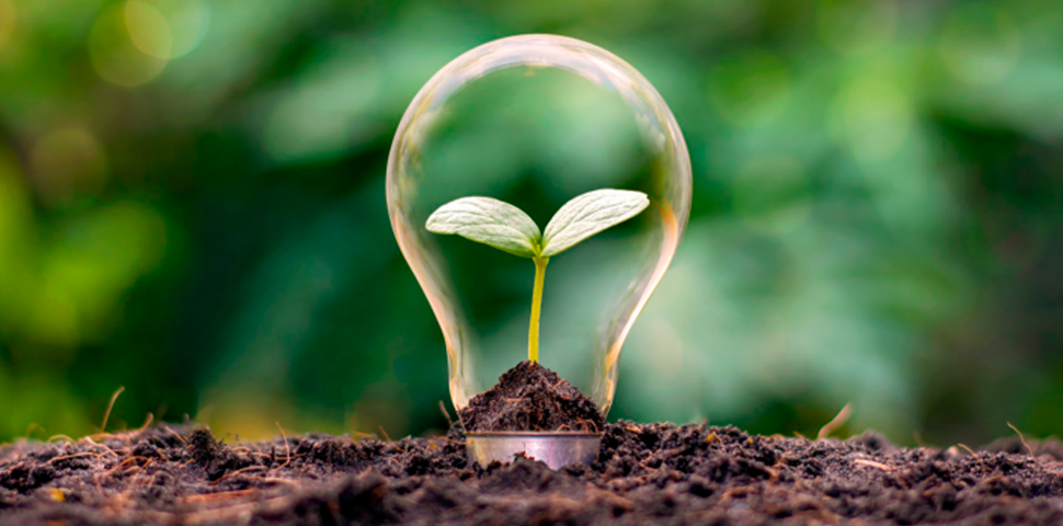 Sustentabilidade é o tema do Dia Internacional do Cooperativismo 2023
