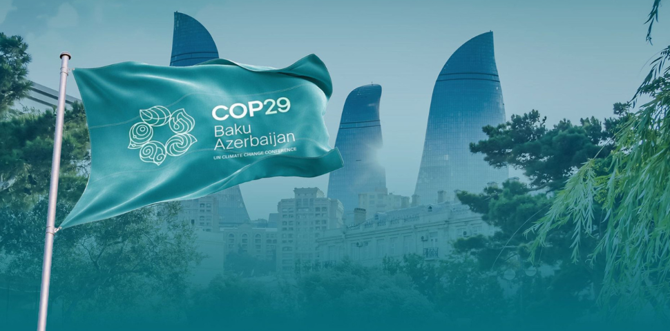 Sistema OCB leva cases de sucesso do cooperativismo à COP29