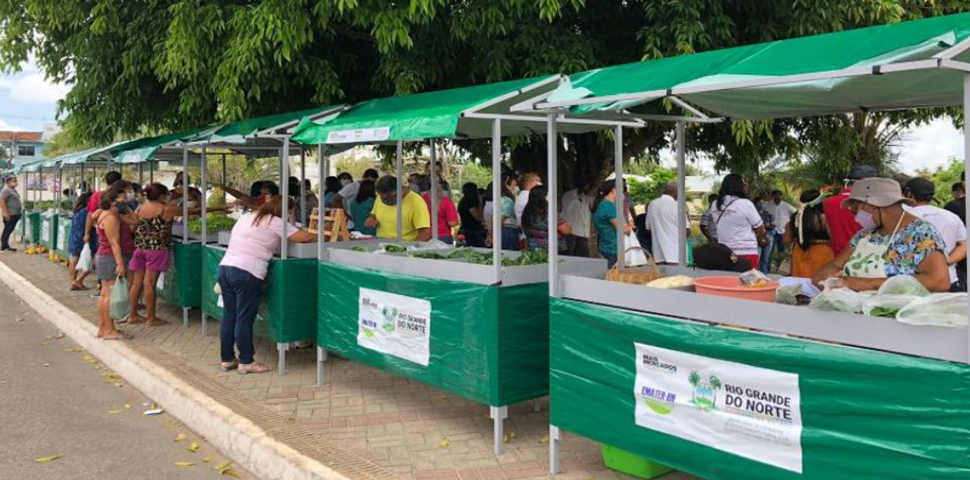 Governo do RN lança chamada pública para incentivar feiras da agricultura familiar