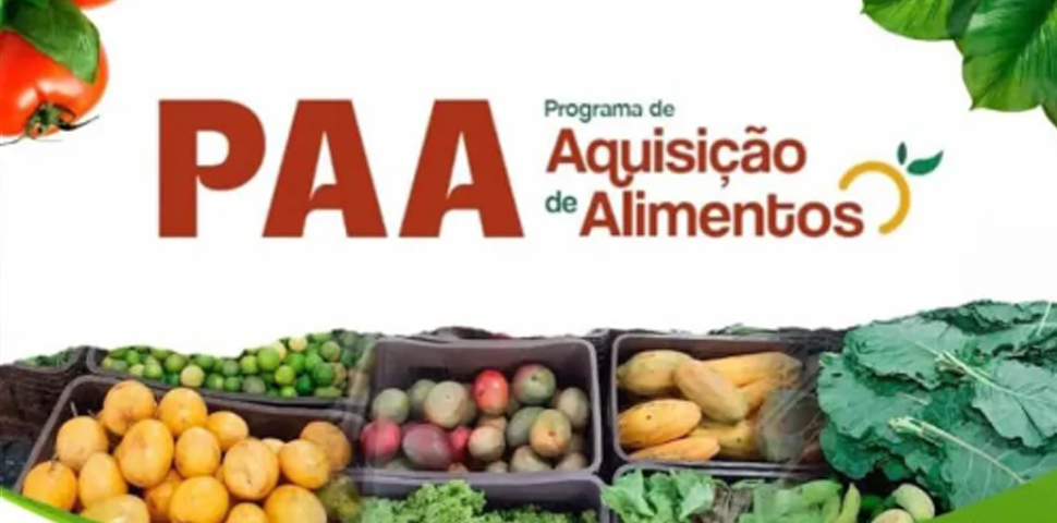 Publicada a lei que institui o Programa de Aquisição de Alimentos