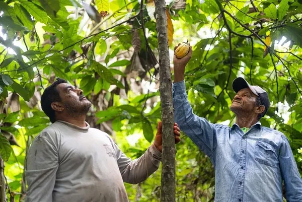 Fórum do Pronaf discute próximo Plano Safra da Agricultura Familiar